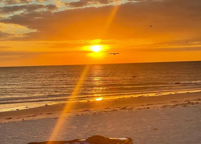 Belleview Gulf Clearwater Beach