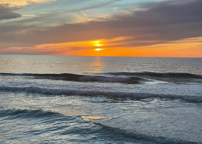 Belleview Gulf Apartment