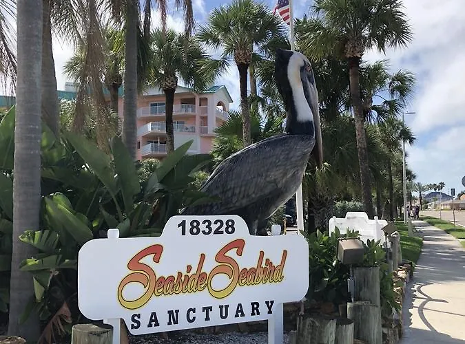 Belleview Gulf Clearwater Beach
